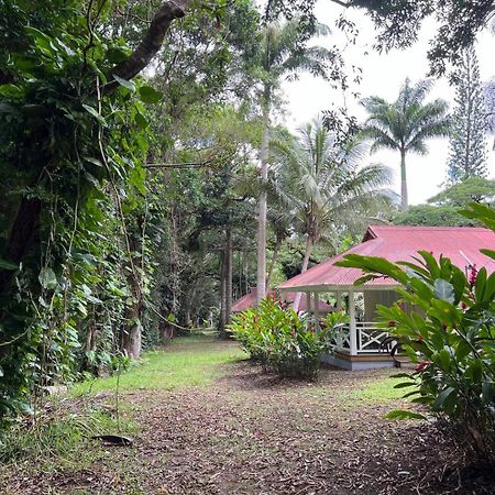 Evasion Bungalow D'Antan Spa Sarramea Ngoại thất bức ảnh
