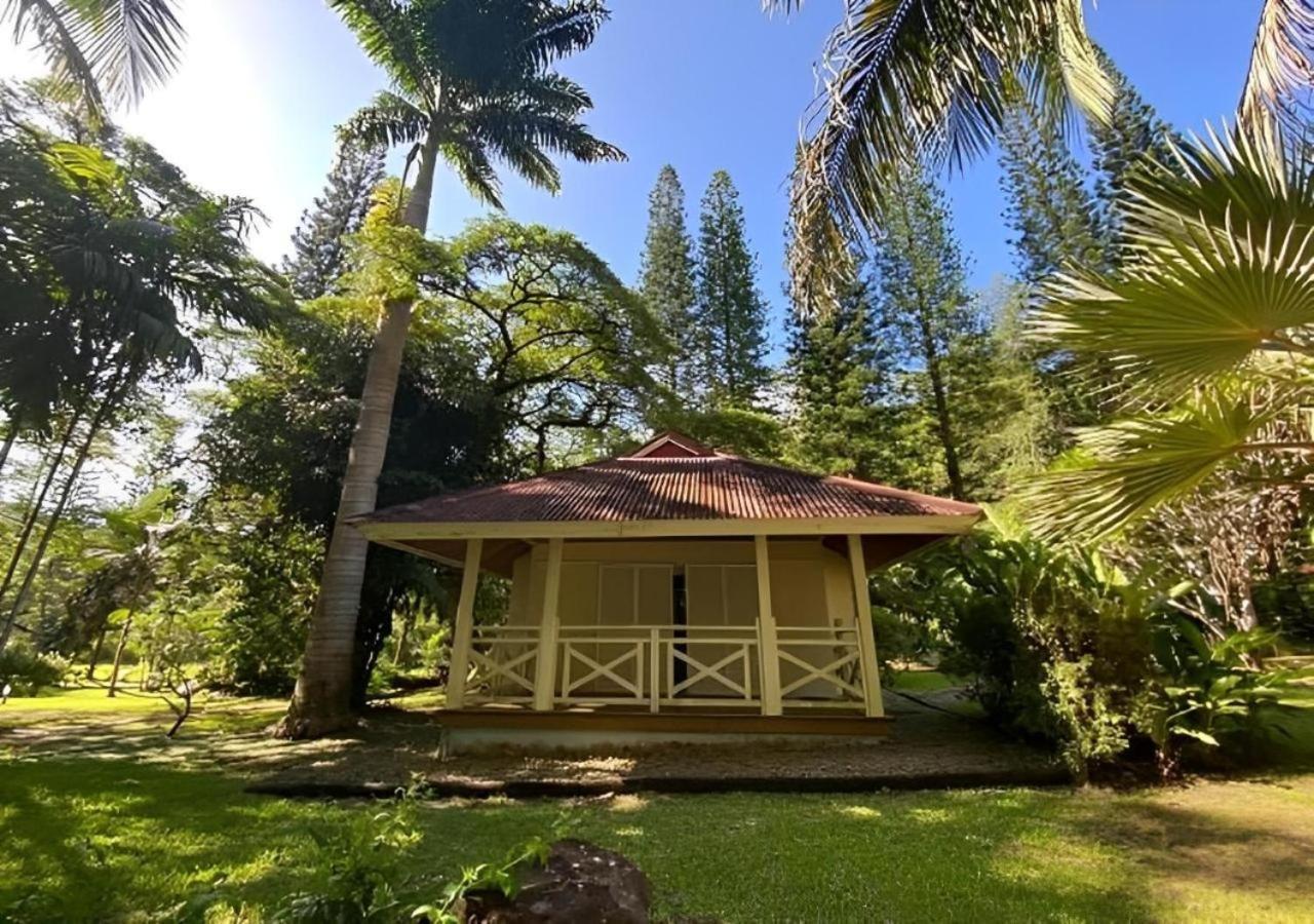 Evasion Bungalow D'Antan Spa Sarramea Ngoại thất bức ảnh