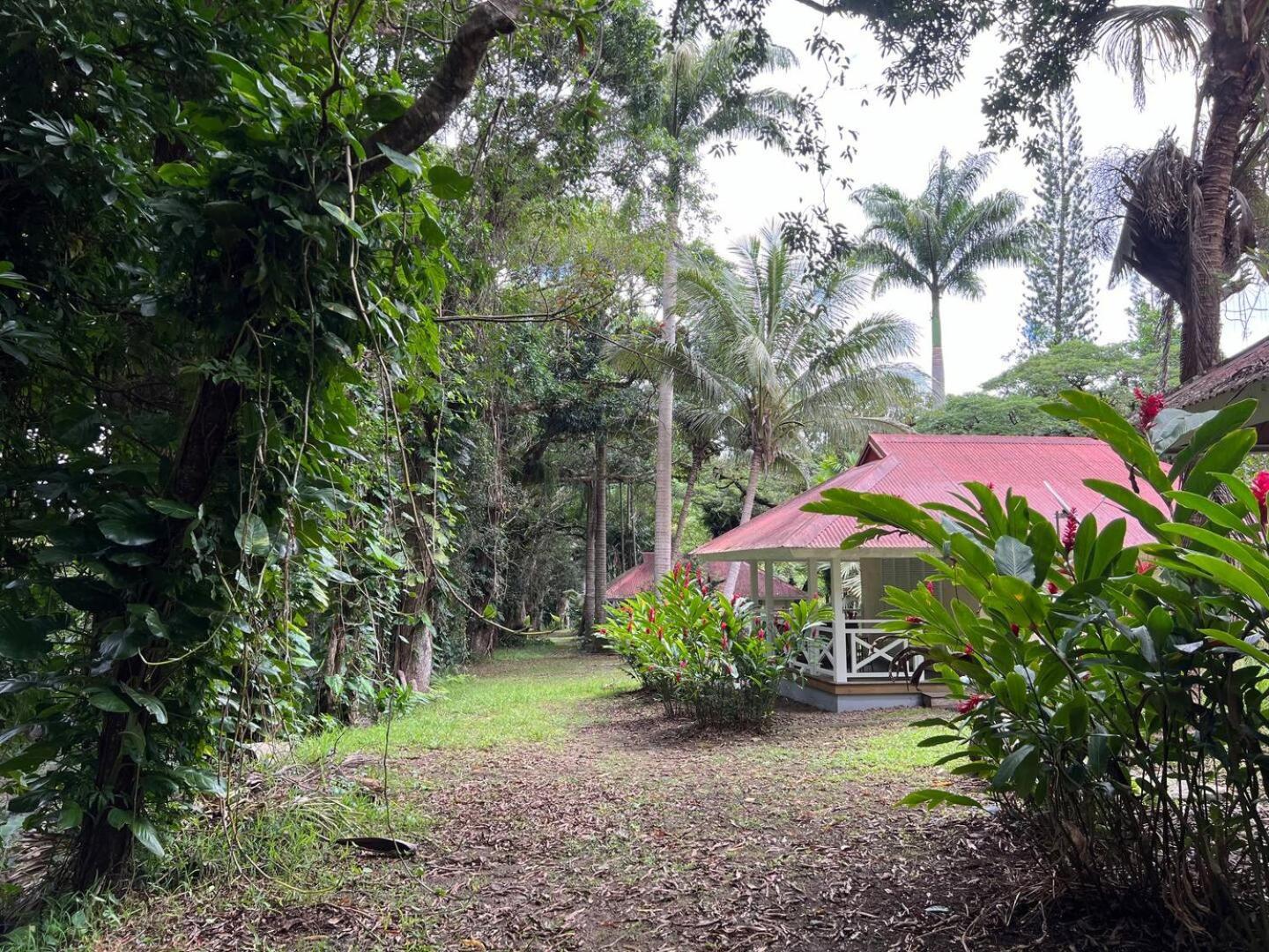 Evasion Bungalow D'Antan Spa Sarramea Ngoại thất bức ảnh